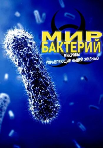 Мир бактерий - микробы управляющие нашей жизнью