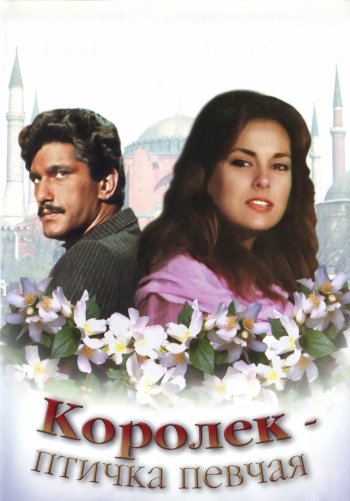 Королек - птичка певчая