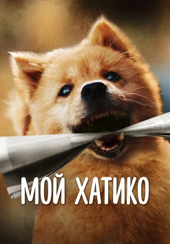 Мой Хатико