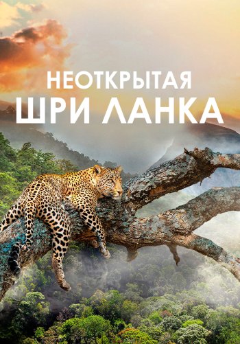 Неоткрытая Шри Ланка