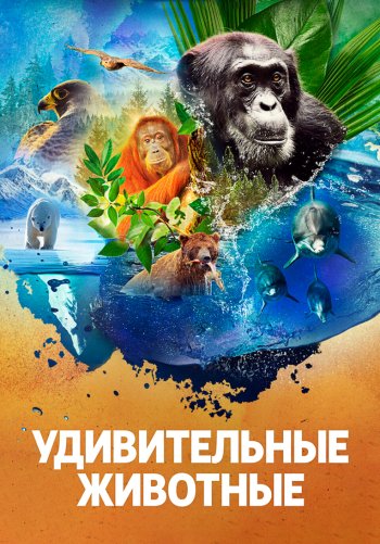 Удивительные животные