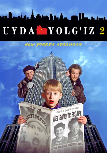 Uyda yolg'iz 2: New Yorkda adashgan