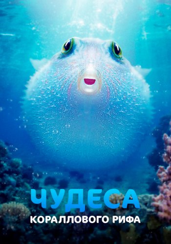 Чудеса кораллового рифа