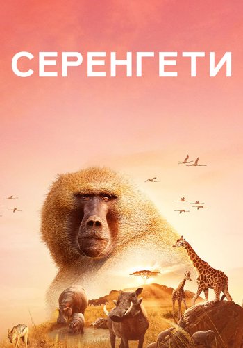 Серенгети