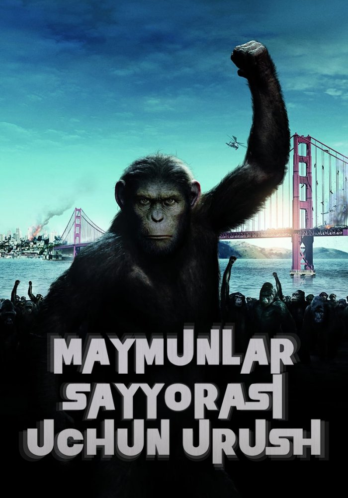 Qusganingizcha siking Kokraklar mushuk ichiga suriladi