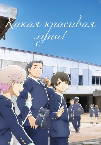 Какая красивая луна!