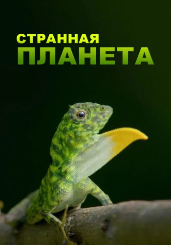 Странная планета