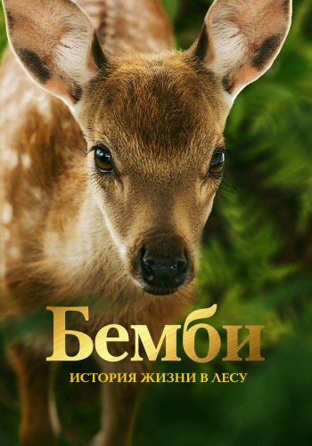 Бемби. История жизни в лесу