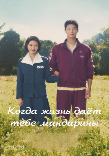 Когда жизнь даёт тебе мандарины