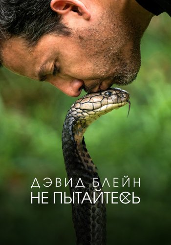 Дэвид Блейн: Не пытайтесь