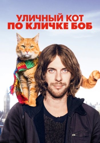 Уличный кот по кличке Боб