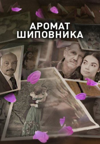 Аромат шиповника