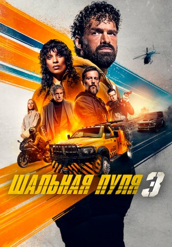 Шальная пуля 3