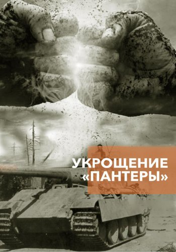 Укрощение «Пантеры»