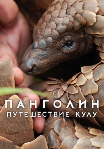 Панголин: Путешествие Кулу
