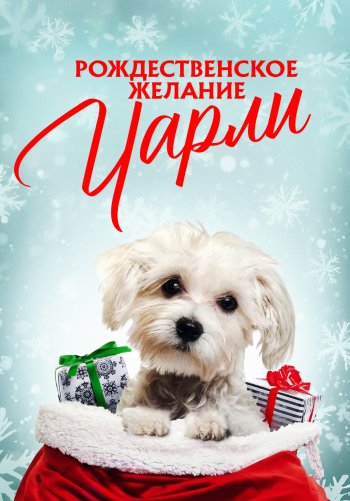 Рождественское желание Чарли
