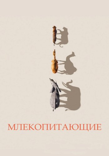 Млекопитающие