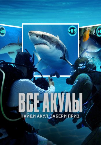 Все акулы
