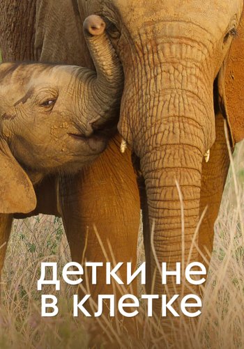 Детки не в клетке