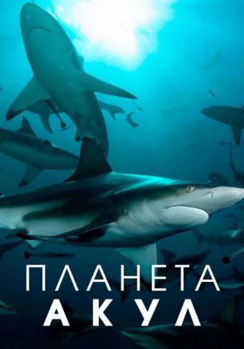 Планета акул