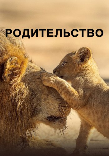 Родительство