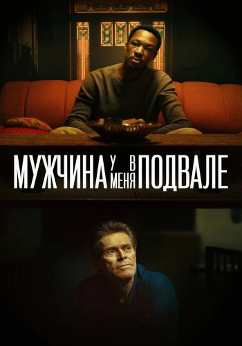 Мужчина у меня в подвале