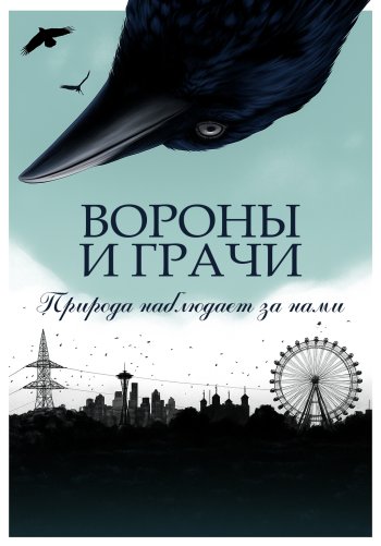 Вороны и грачи: природа наблюдает за нами