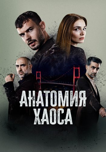 Анатомия хаоса