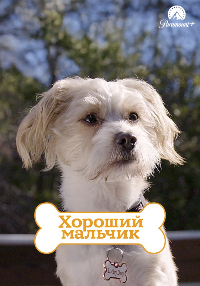 Хороший мальчик