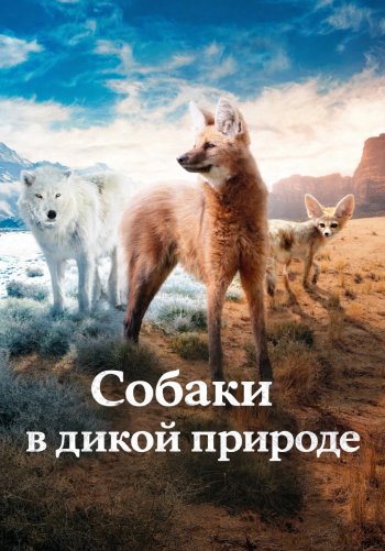 Собаки в дикой природе