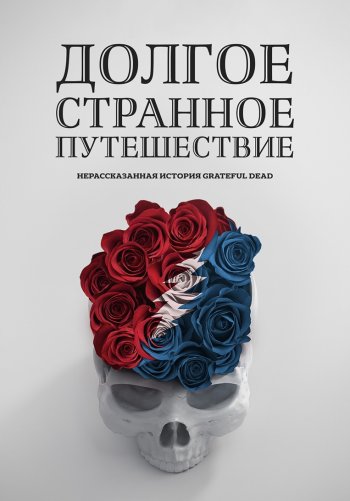 Долгое странное путешествие