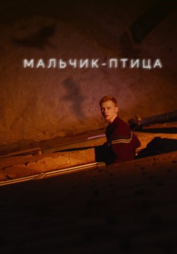 Мальчик-птица