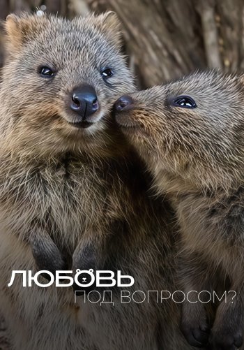 Любовь под вопросом?