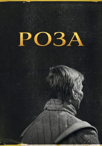 Роза