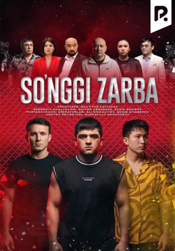 So'nggi zarba