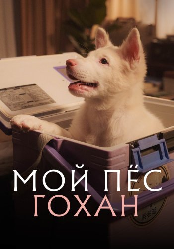 Мой пёс Гохан