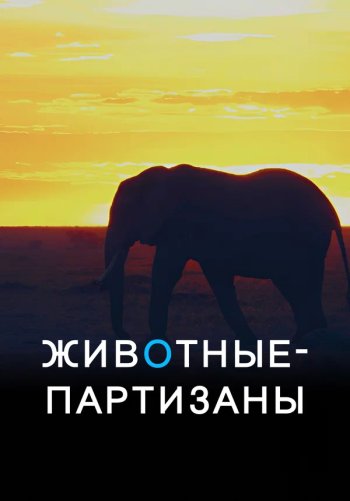 Животные-партизаны