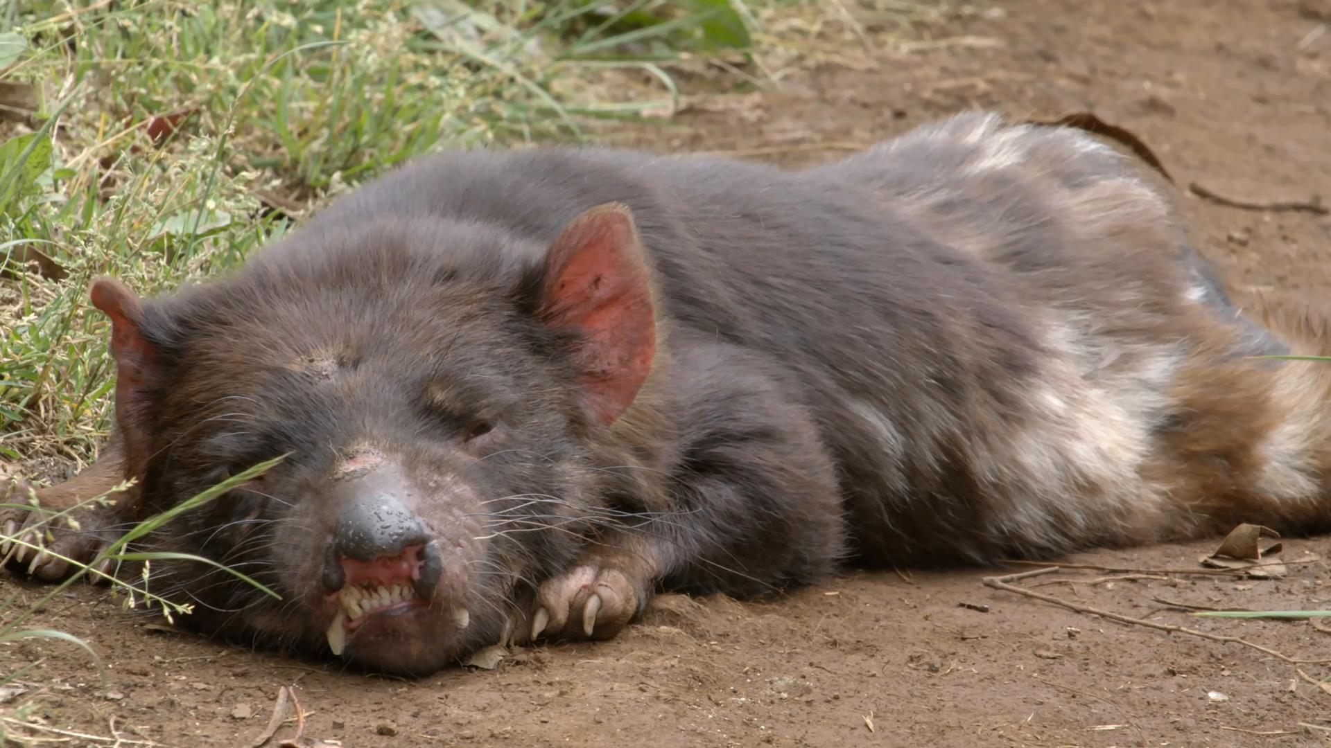 snapshot