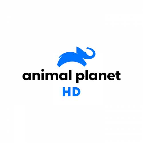 Animal Planet FHD