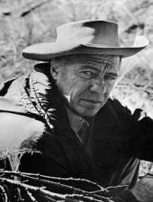 Роберт Брэй